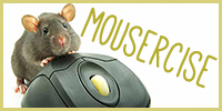 Mousercise